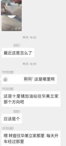 微城事最新爆料,最新爆料背后的惊人真相