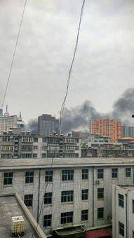 石家庄爆料赵县最新消息,石家庄爆料揭示最新发展情况