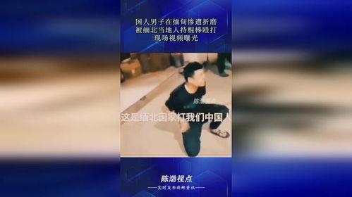 缅甸当地人爆料视频最新,民众视角下的社会动态与民生现状