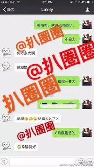 海森最新爆料图片大全集,图片大全集深度解析