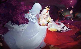 婉儿传说皮肤最新爆料,华丽舞姿，梦幻仙境