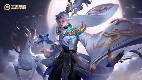 王者荣耀皮肤爆料最新云中君,翱翔九天，风华绝代