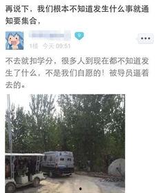 河北美院爆料视频大全最新